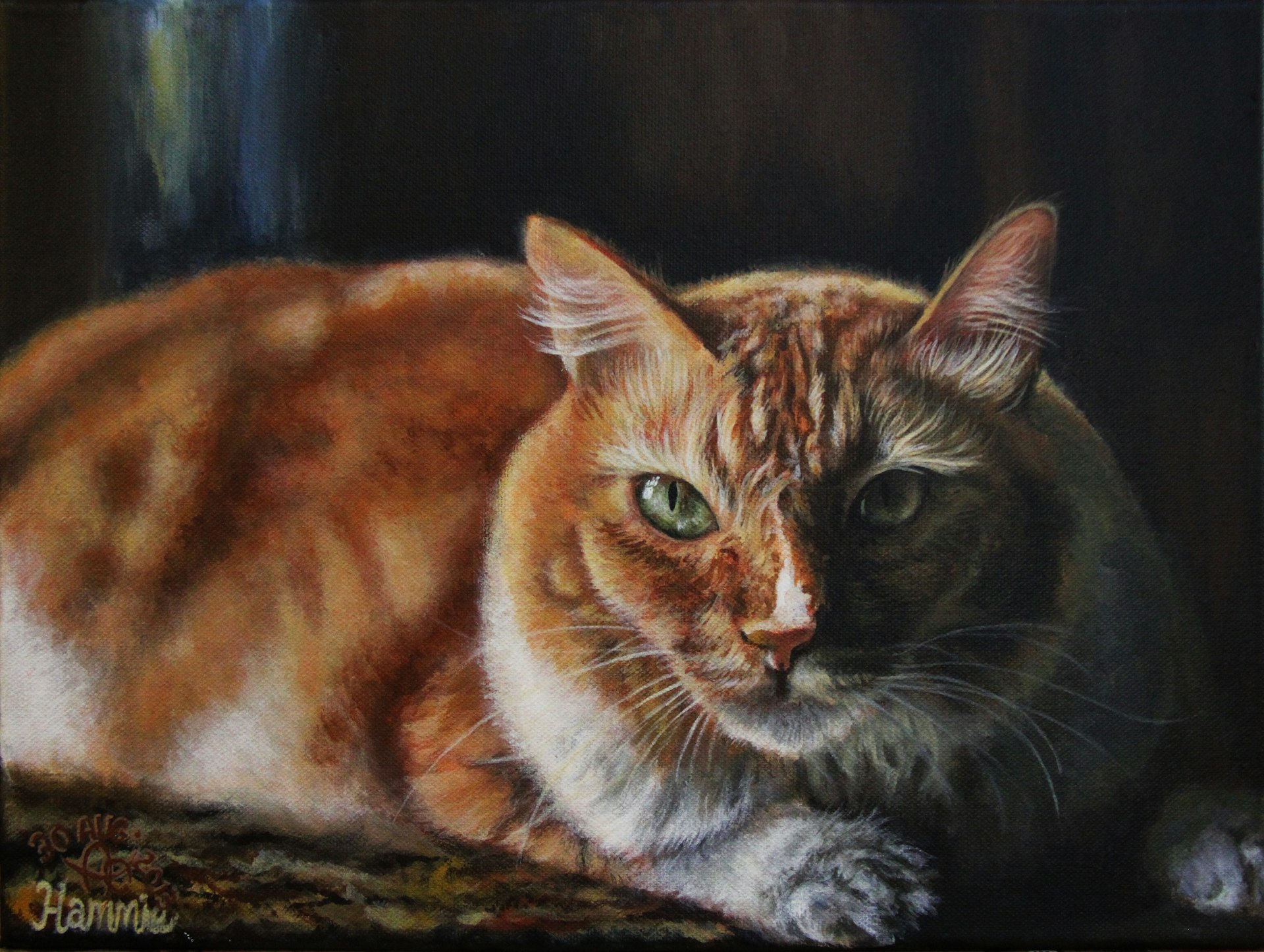 Acrylic painting of a maine coone cat, sitting on all fours on a table in dramatic lighting and looking straight at the camera