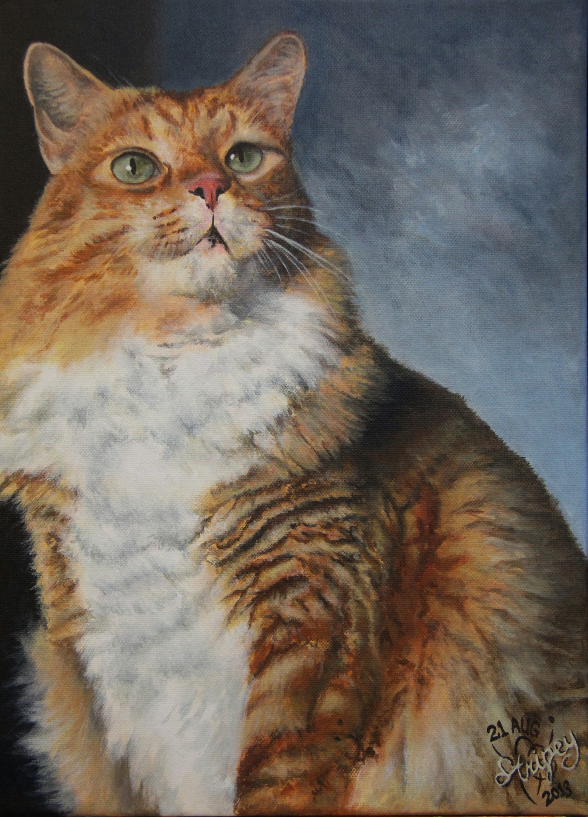 Acrylic painting of a fat fluffy maine coone cat, sitting upright and looking slightly upwards and to the right