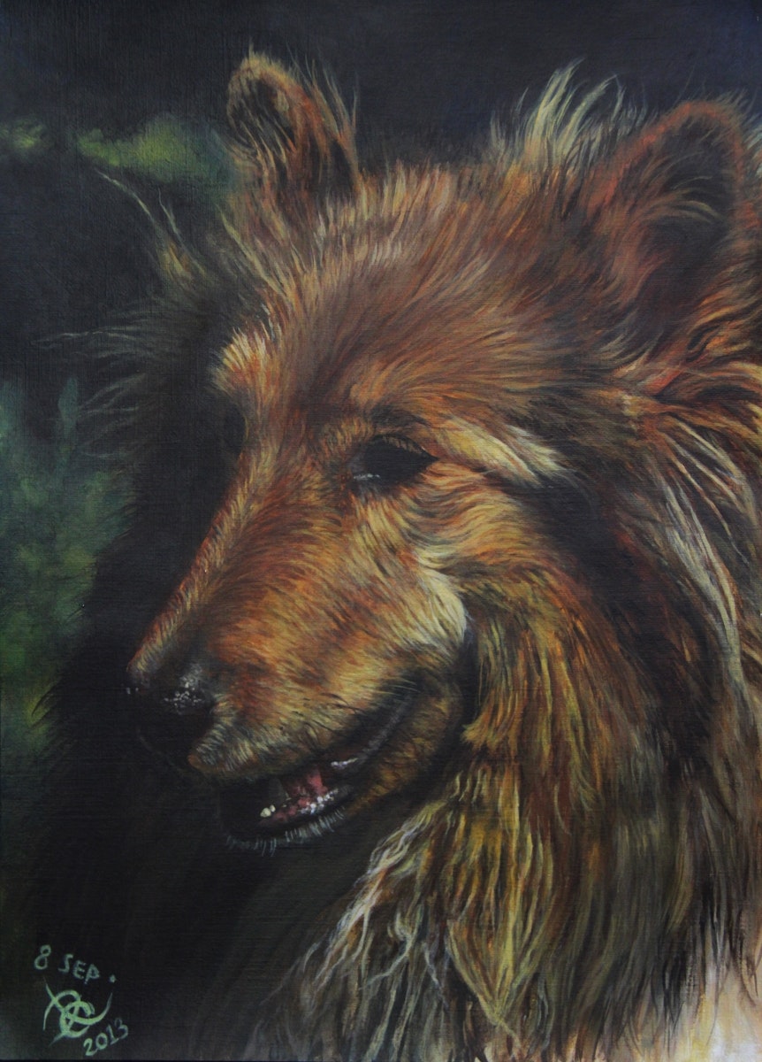Acrylic painting close-up of a rough collie, head turned three-quarters to the left and panting.