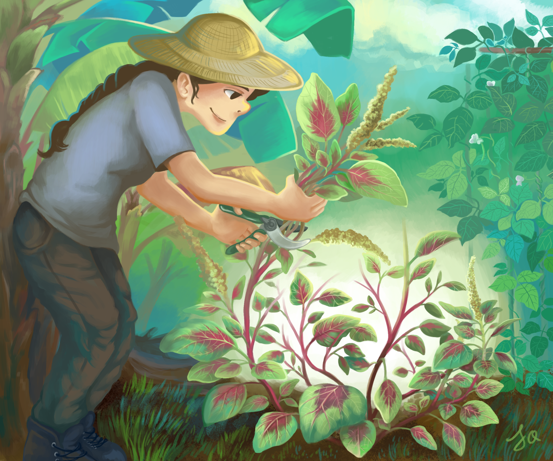 Digital painting of a young lady harvesting red bayam (amaranth) in a community garden, against a backdrop of banana trees and beans growing up a trellis