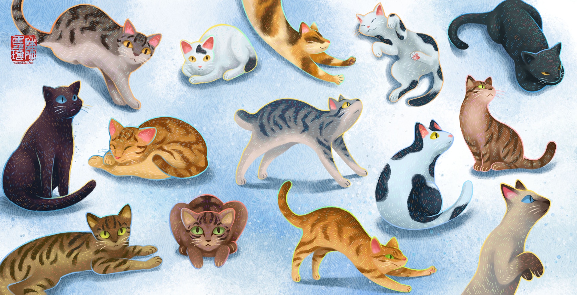 Illustration of various cats in different postures.