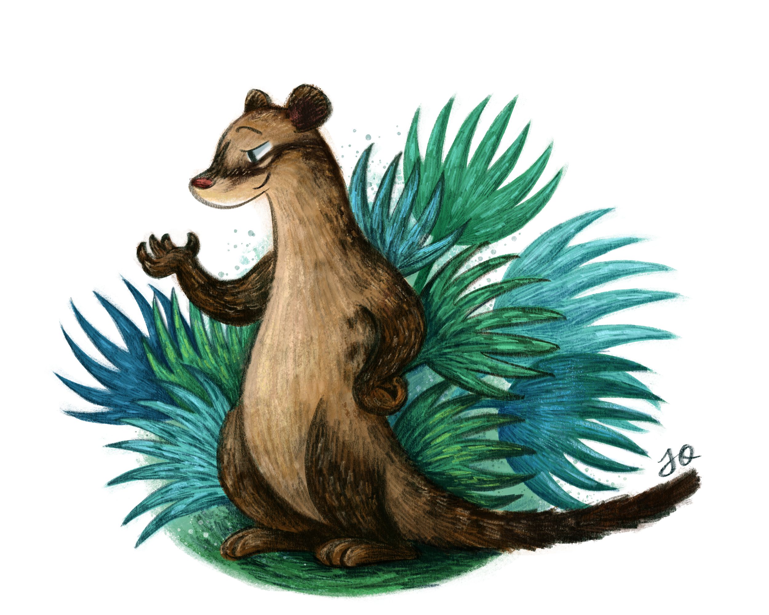 Character design of Musang