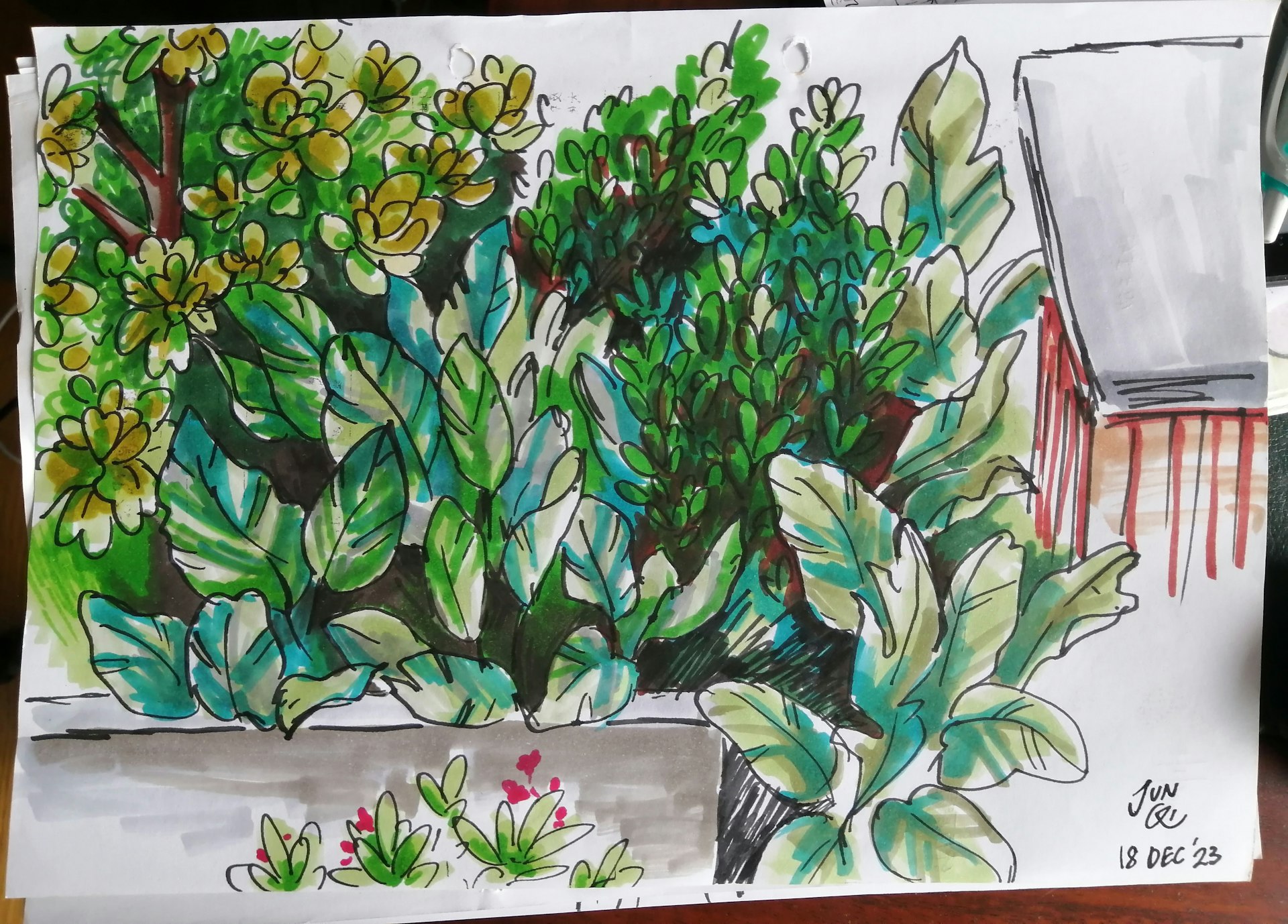 Sketch of plants on the ground floor from my room