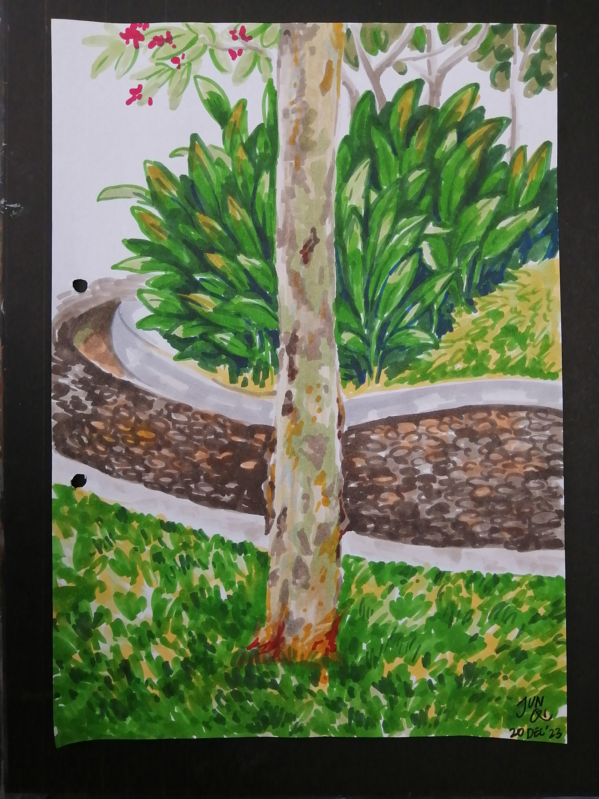 Sketch of a tree trunk with beautiful bark against grass, plants and a pebble pond.