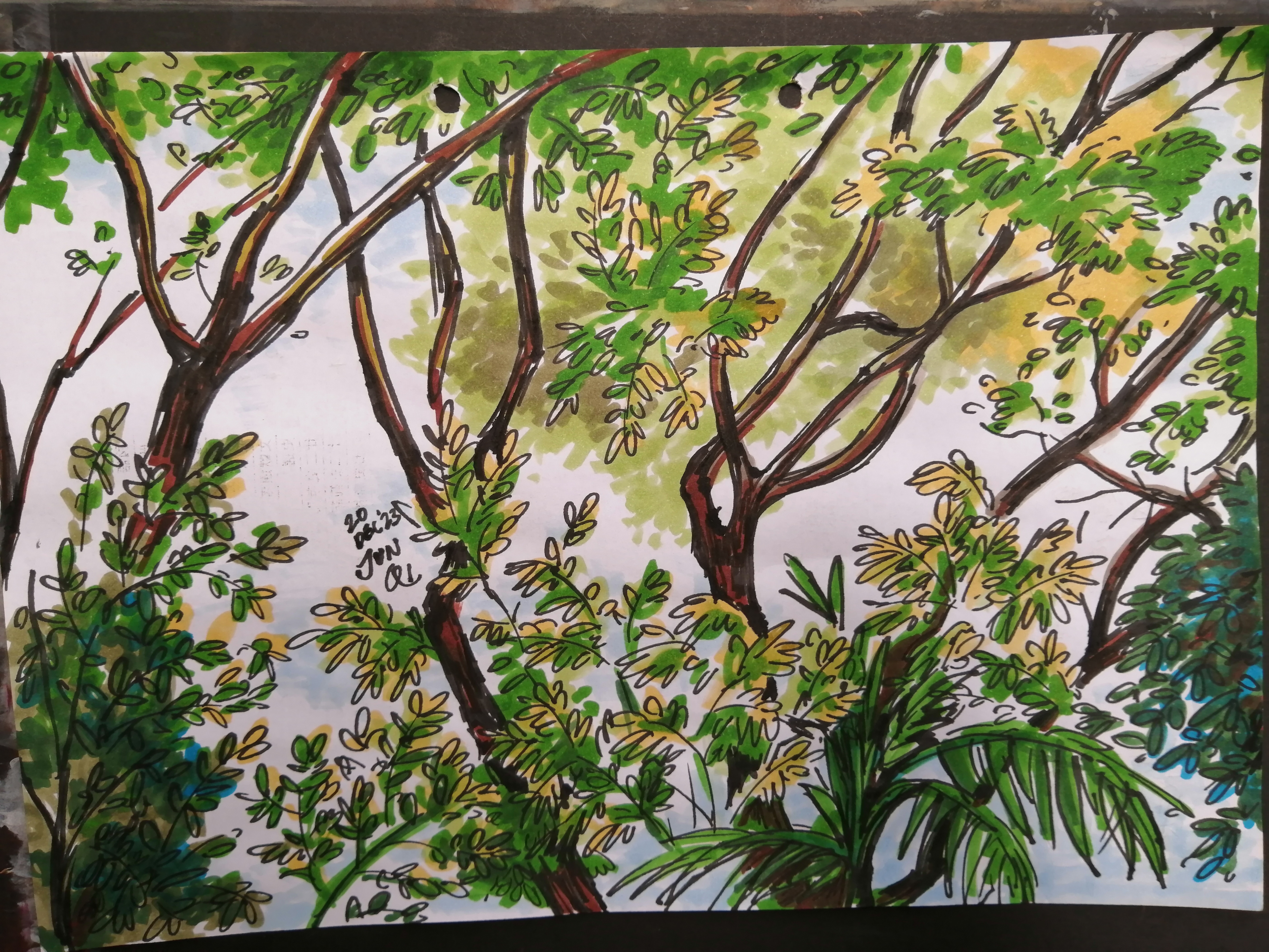 Sketch of trees in the distance