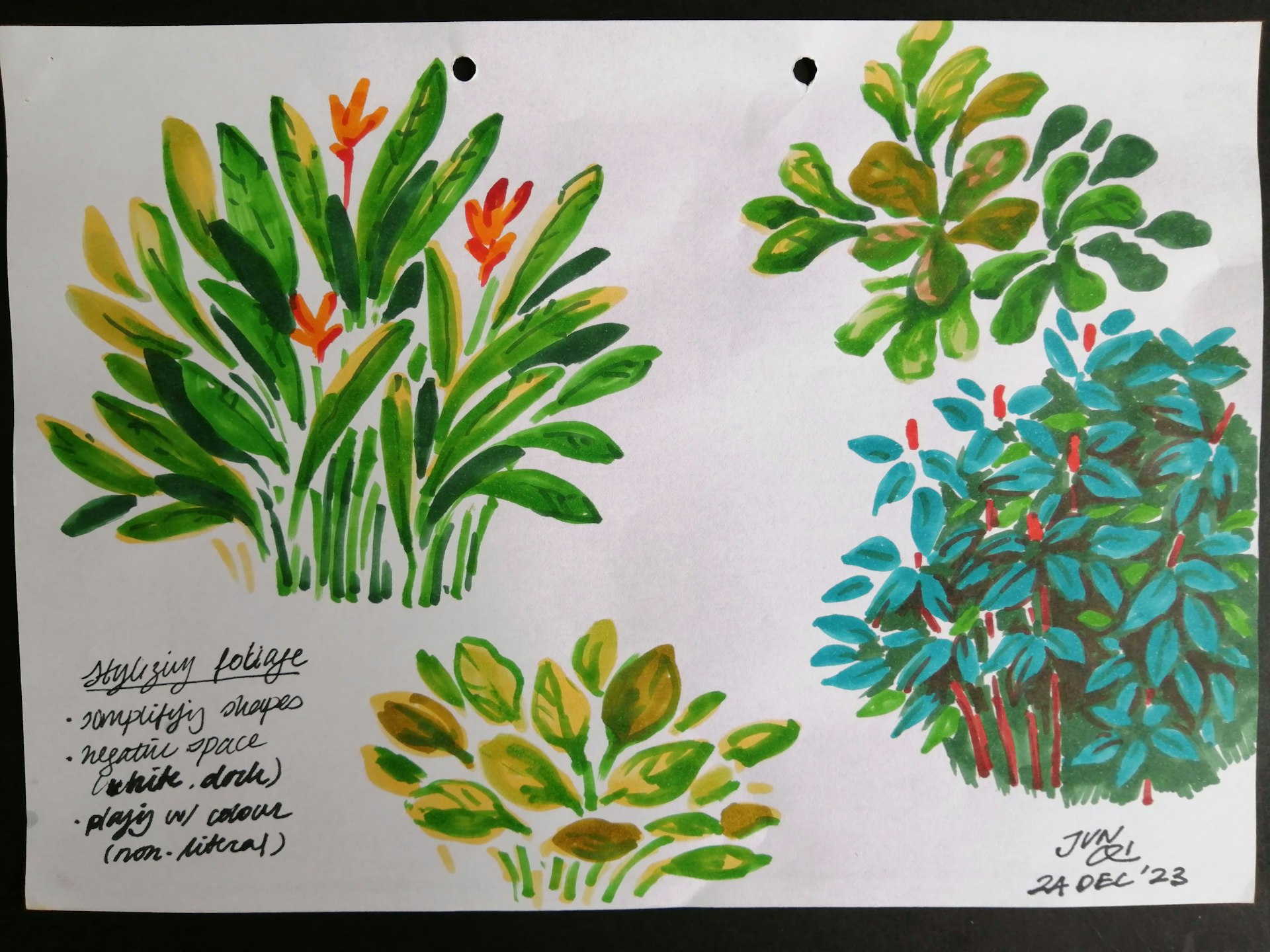 Foliage stylization exercises, sketched from plants in my condo.