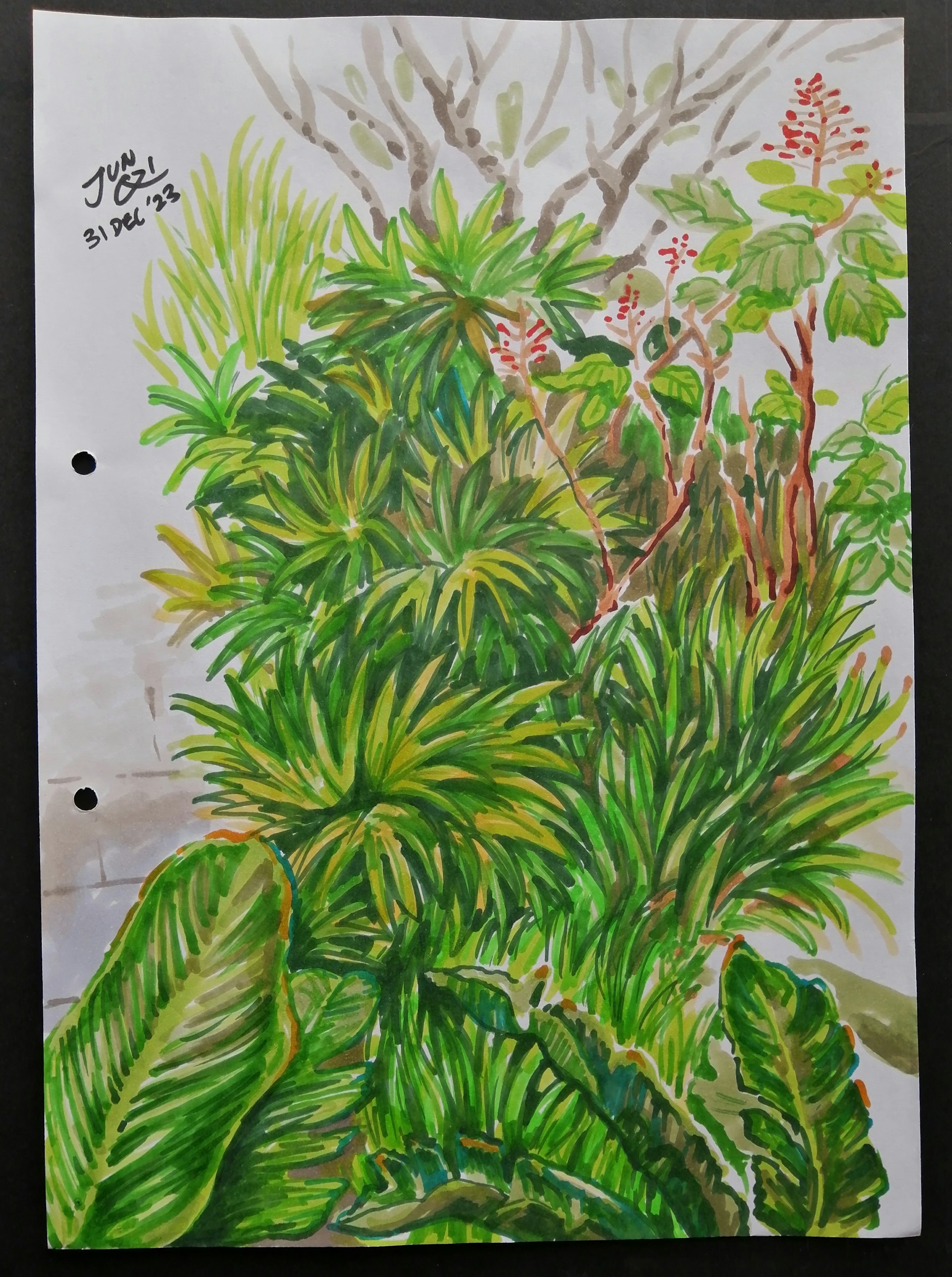 Copic marker sketch of foliage in my condo