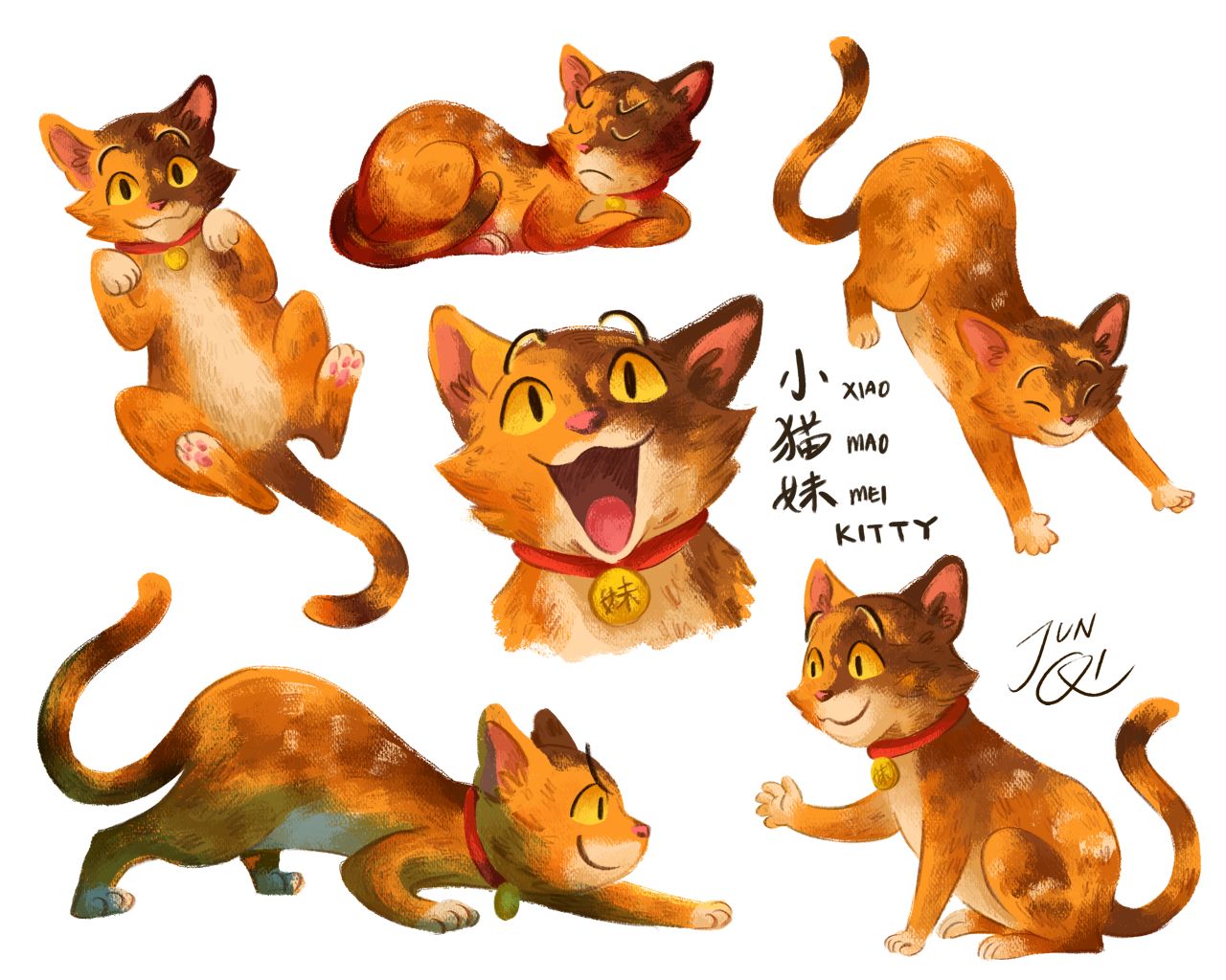 Character sheet of Kitty