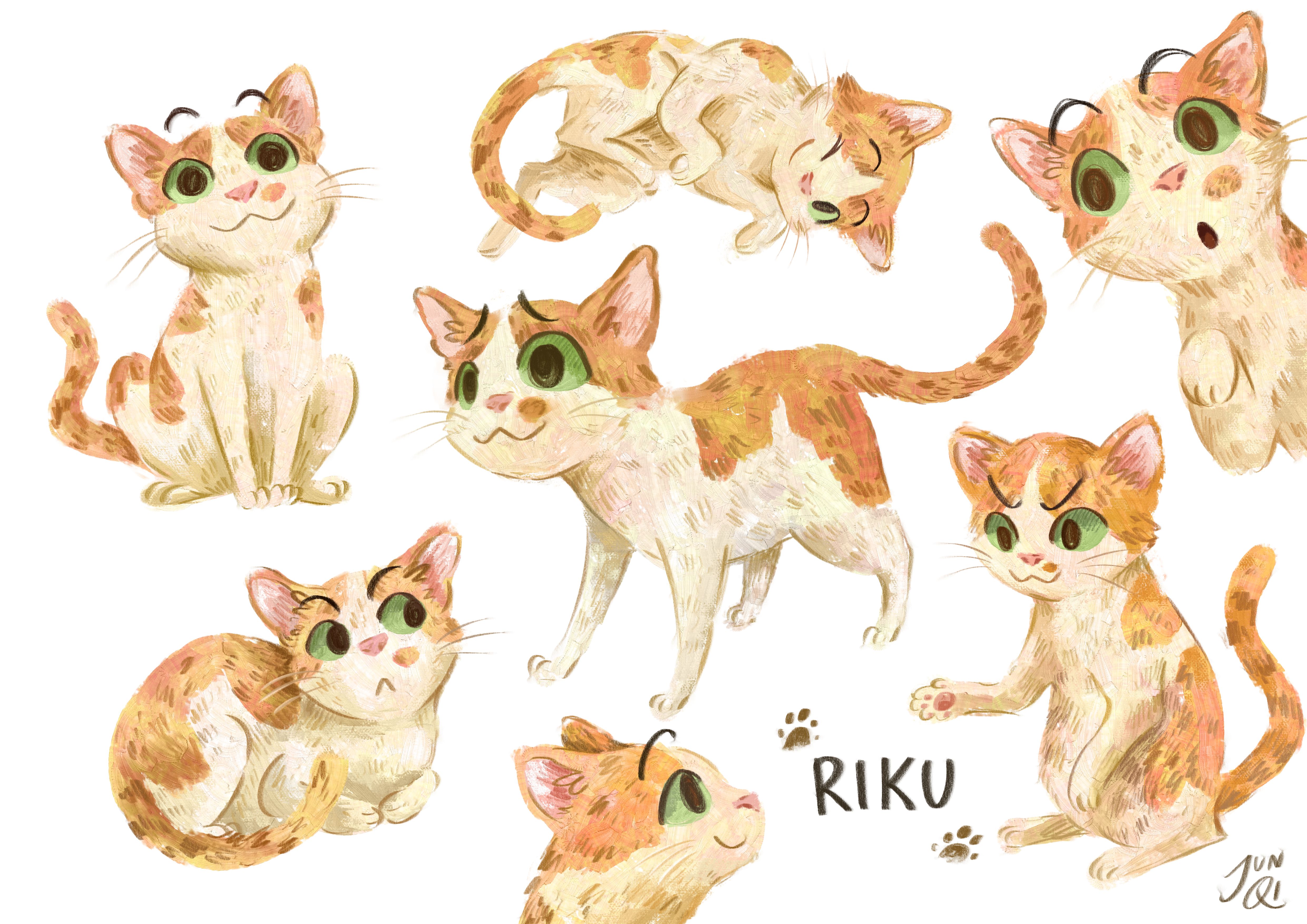 Character sheet of Riku