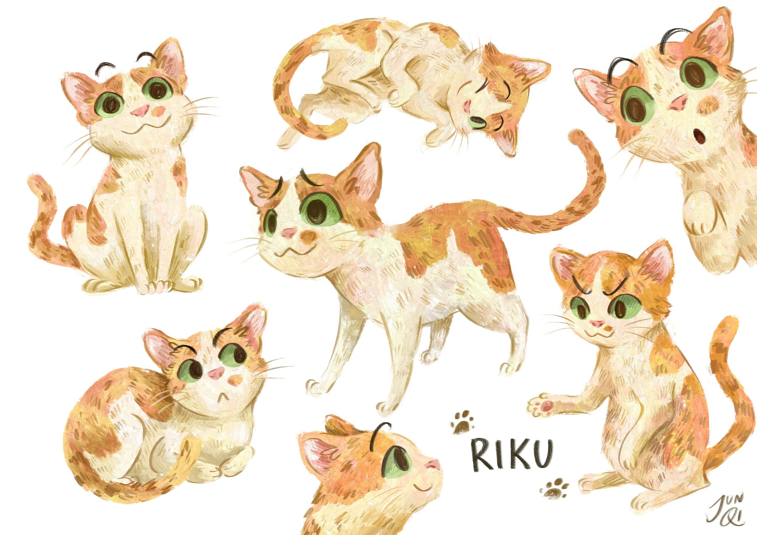 Character sheet of Riku