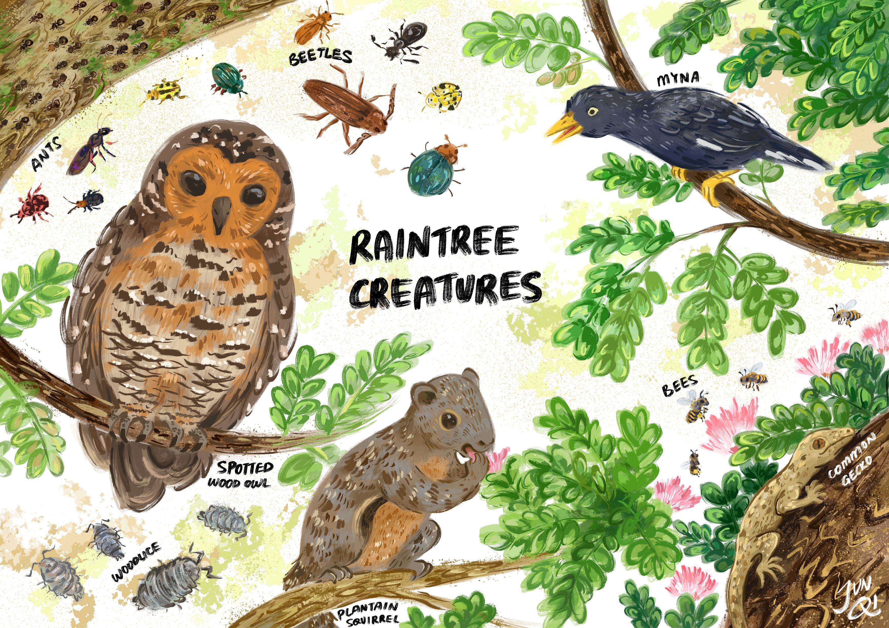 Illustration of raintree creatures
