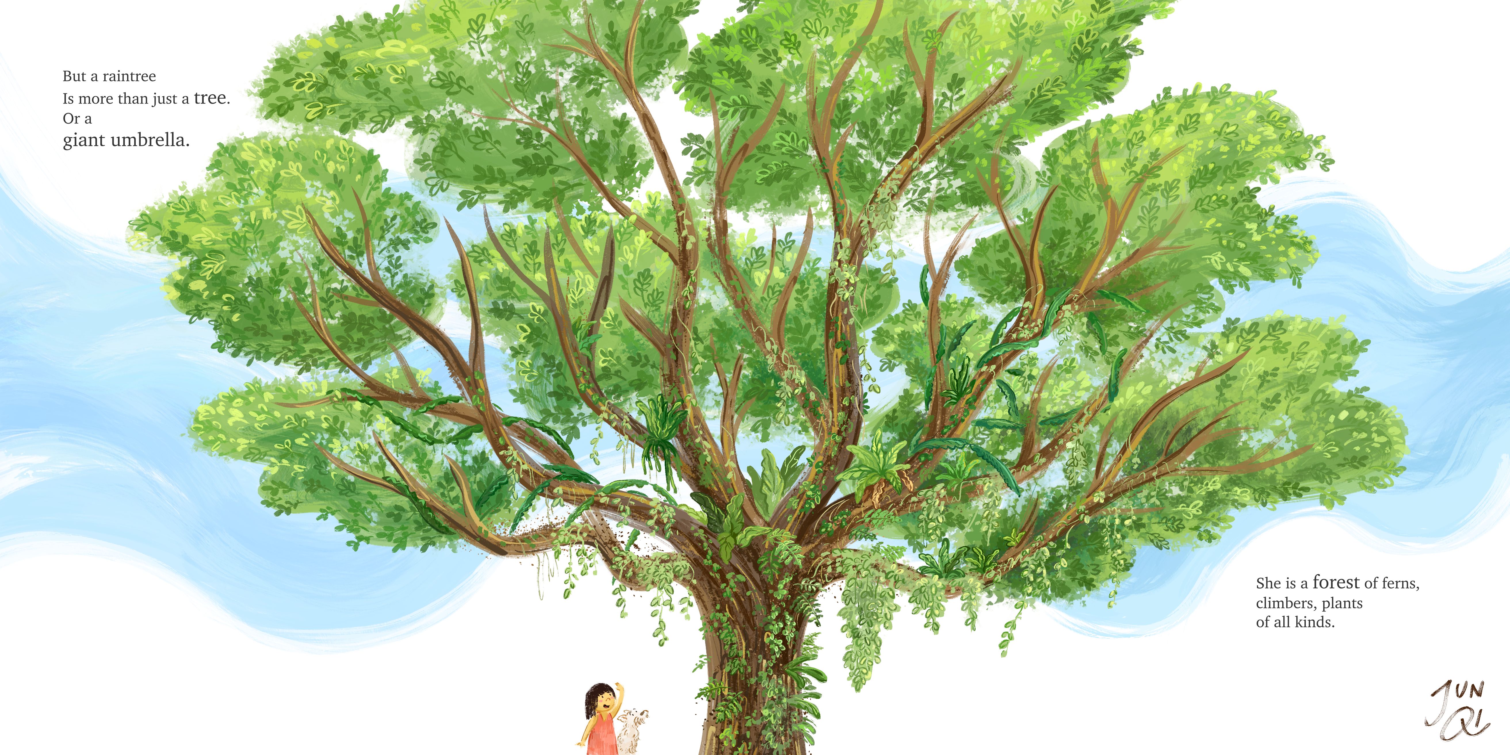 Illustration of a raintree with epiphytes